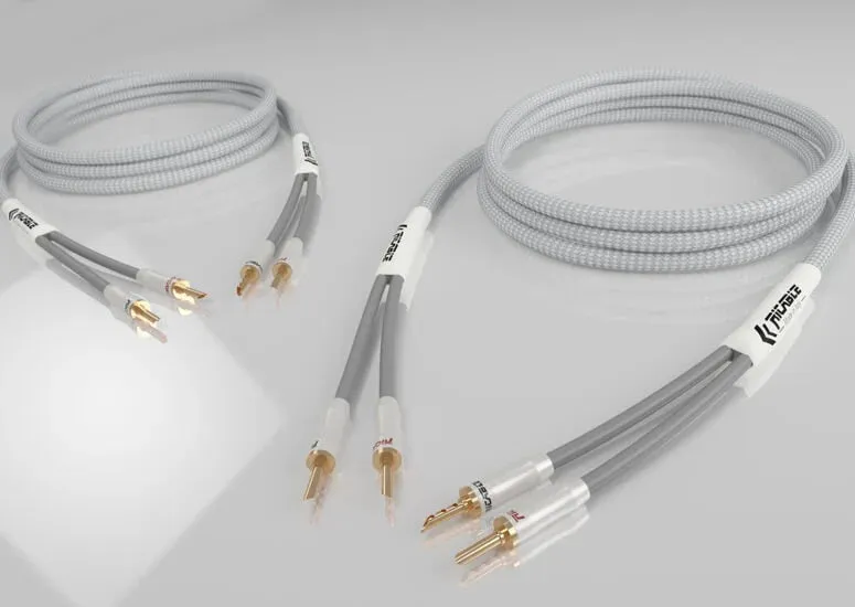 Sallingboe Audio System 10000 streaminganlæg komplet Wiim