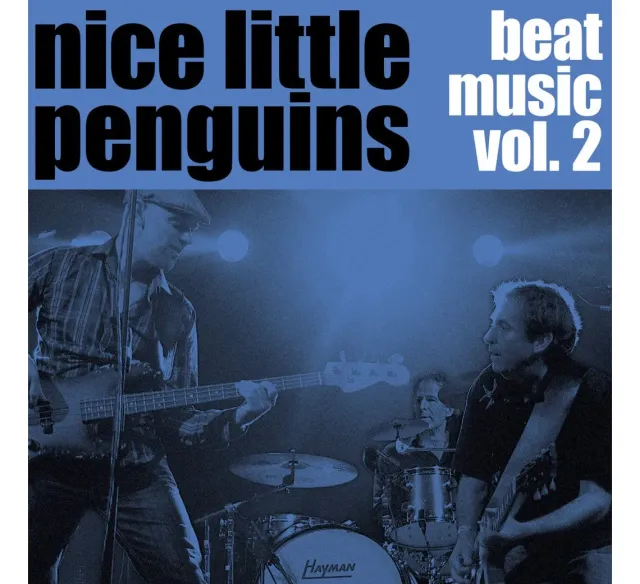 Sallingboe Audio Nice Little Penguins Beat Music Vol.2 LP vinyl